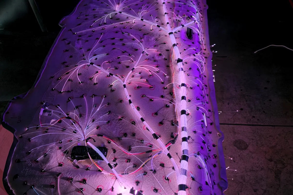 Fiber-optic strands fanned across the back of a headliner board